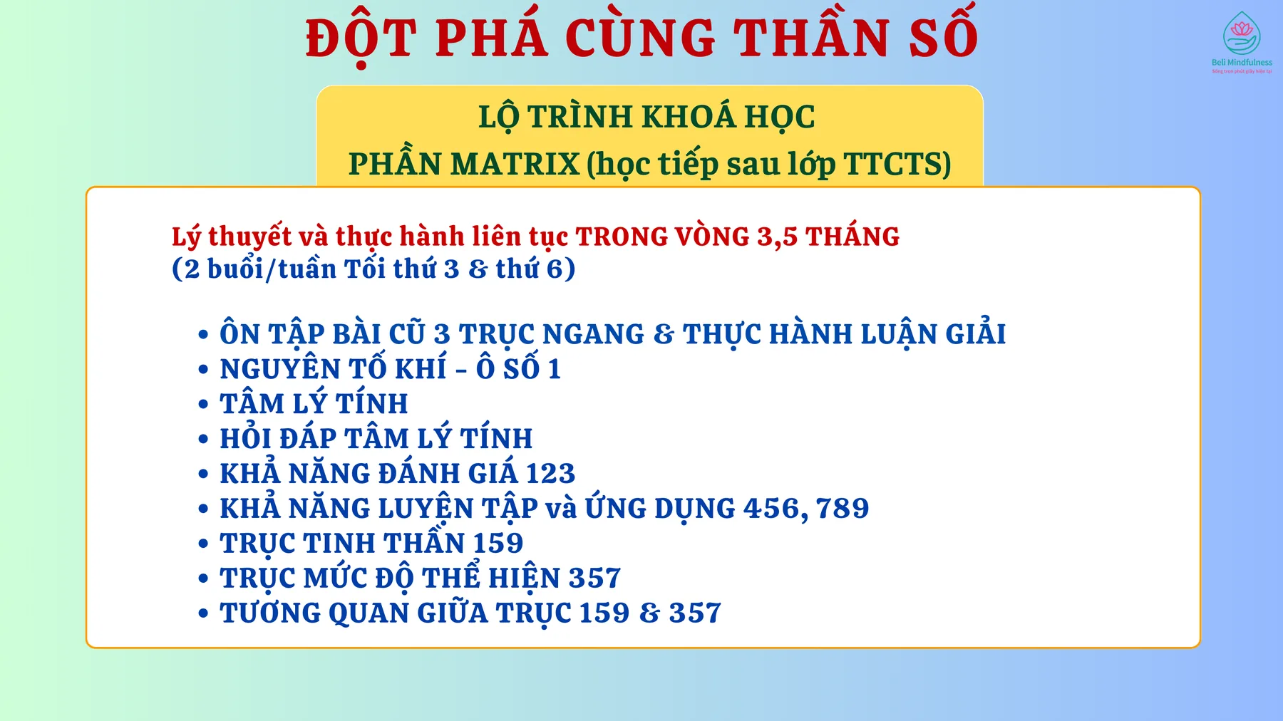 Lộ trình phần Matrix trong 3,5 tháng